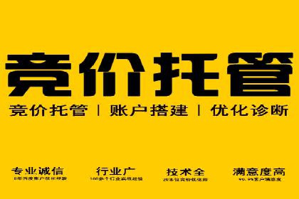 竞价推广策略：成功企业的案例分享